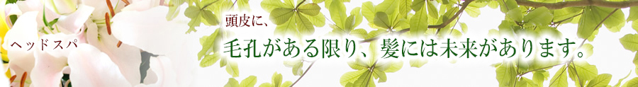 ヘッドスパ 頭皮に毛孔がある限り、髪には未来があります。
