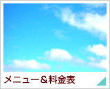 ���j���[�������ڍ�