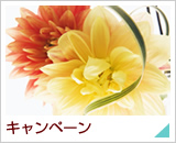 �G�߂̂����ȏ��